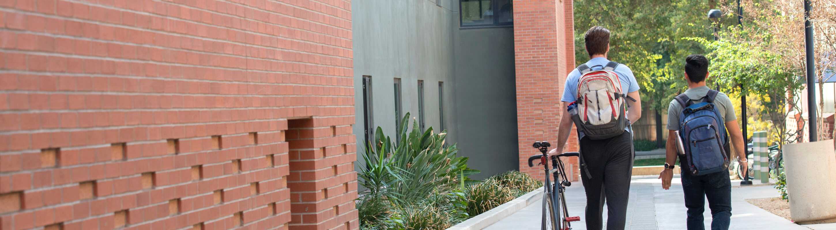 students walking on the University of Arizona campus