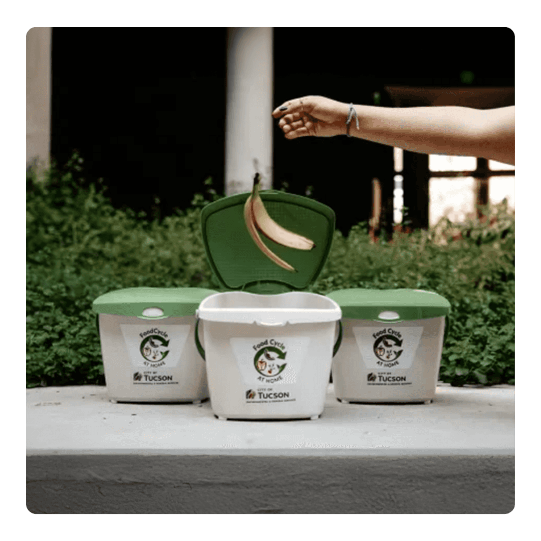 Compost Cats University of Arizona