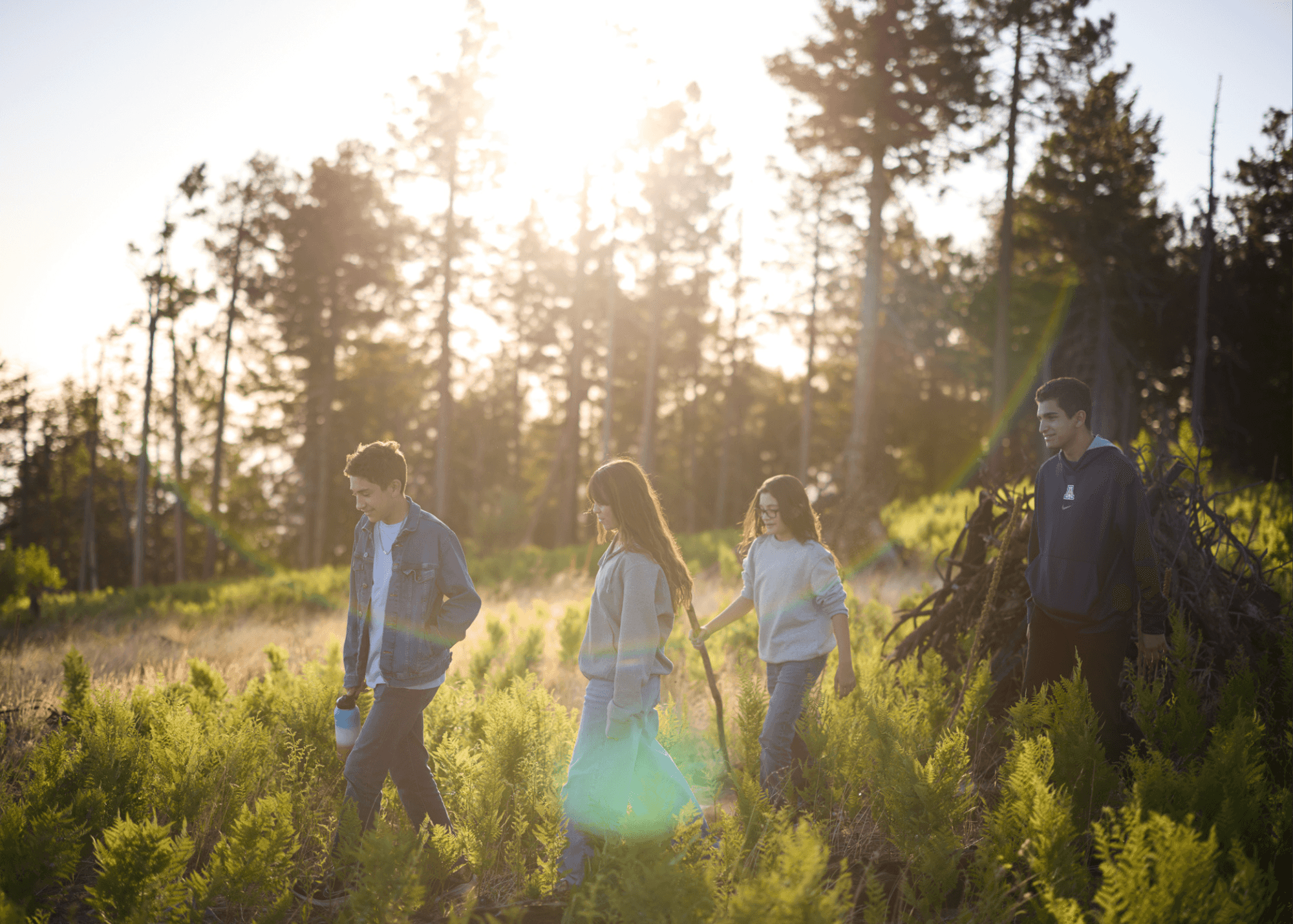 People walking around Mt. Lemmon
