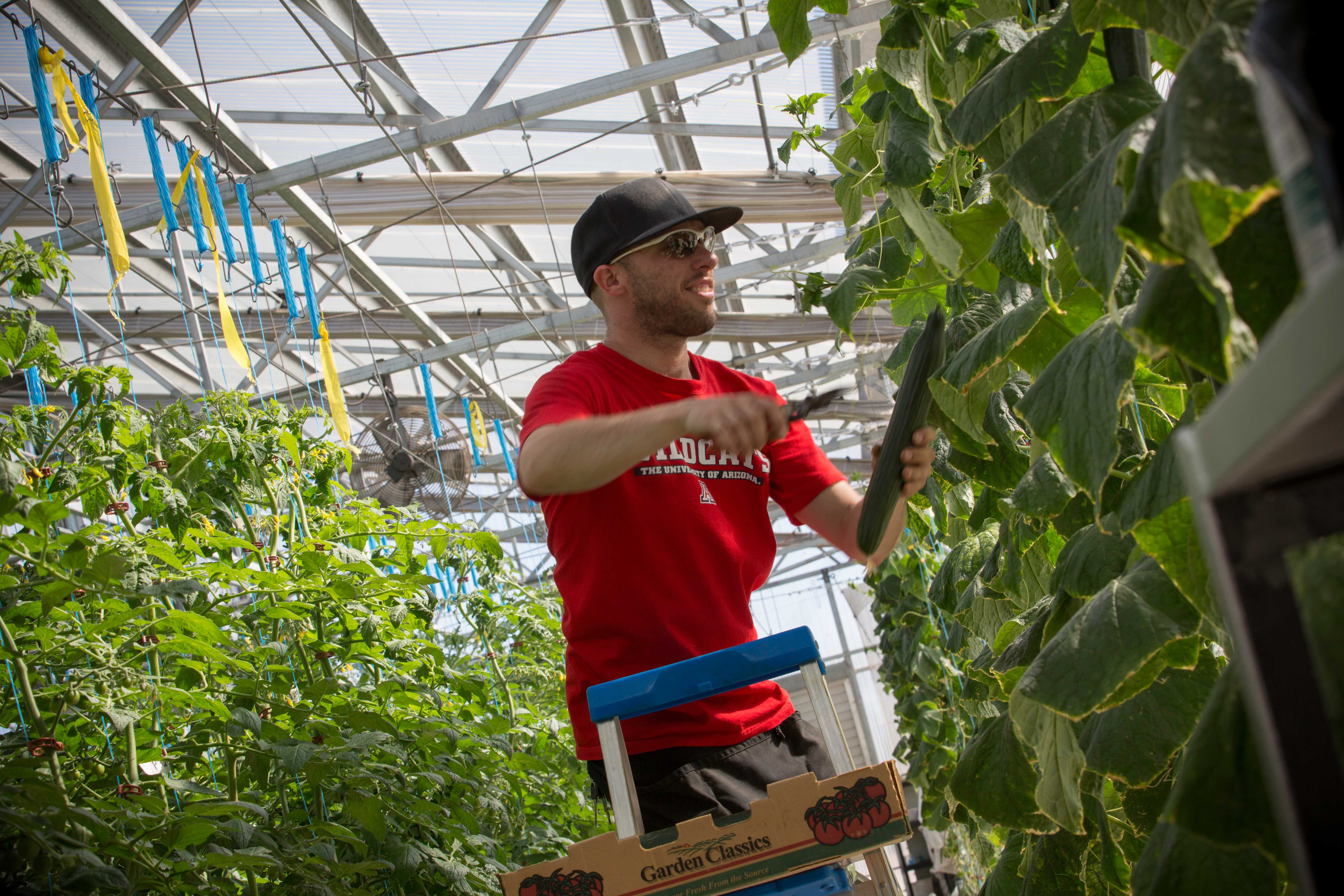 University of Arizona CEAC