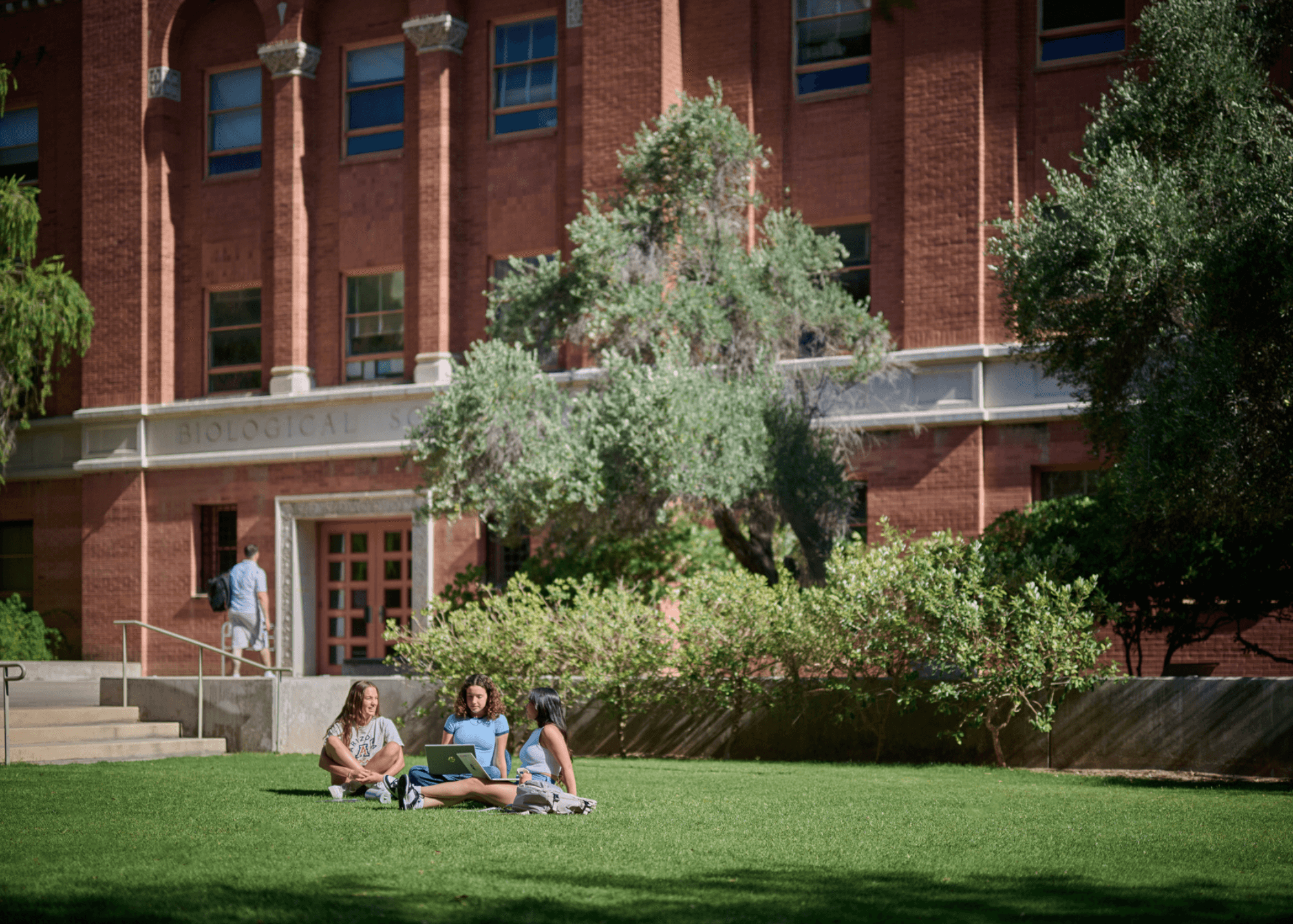 Image of students relaxing on the grass outside of a dorm on the University of Arizona campus.