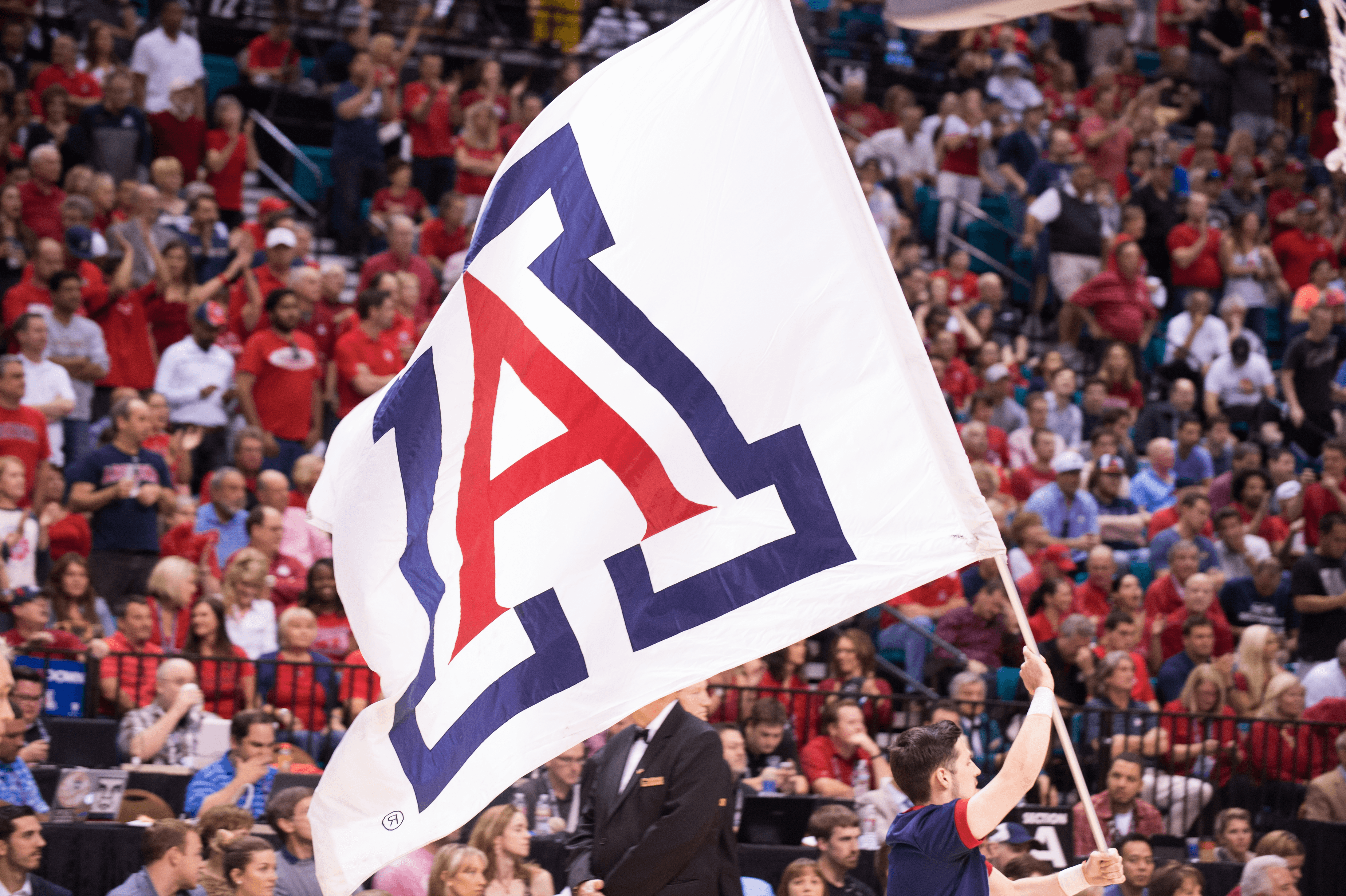 University of Arizona Flag